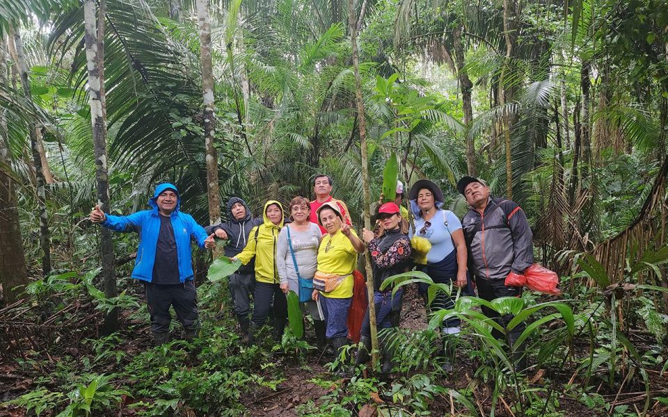 Puerto Maldonado: Jungle of Tambopata National Reserve 2D/1N - Inclusions