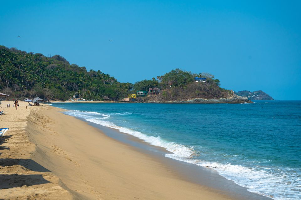 Puerto Vallarta: Sayulita and San Pancho Beaches Tour - Customer Reviews and Feedback Summary