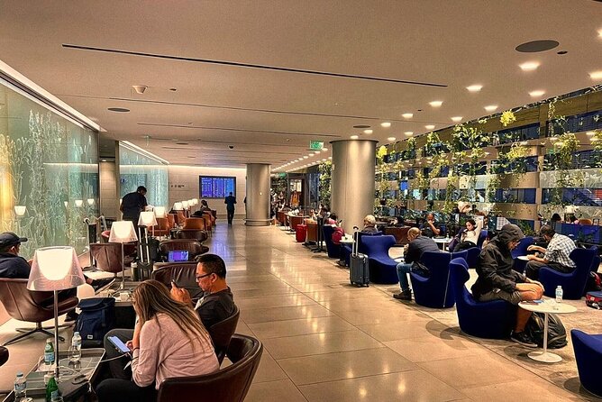 Qatar: Doha Hamad International Airport (DOH) Al Maha Lounge - Customer Feedback