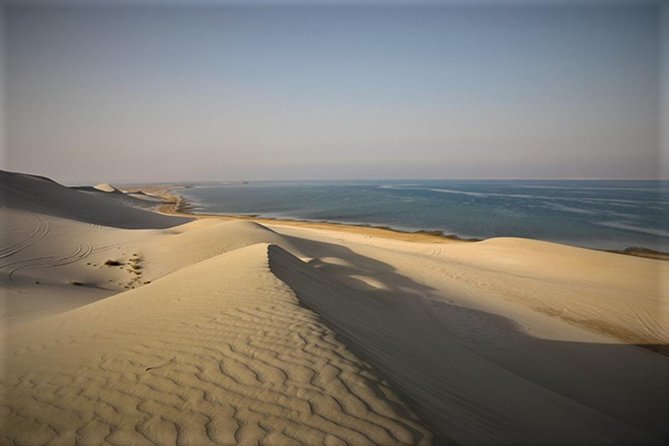 Qatar Gold Dune Safari, Dune Bashing,Camel Ride,Sand Boarding,Inland Sea Desert - Customer Feedback and Recommendations