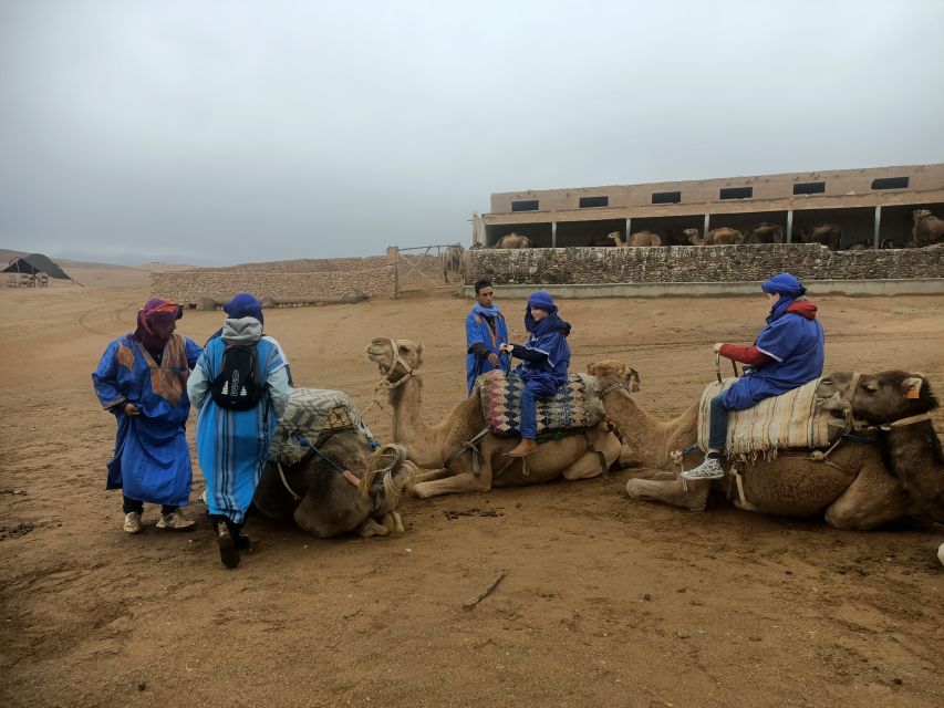 Quad Bike and Camel Ride in Agafay Desert With Lunch - Logistics and Timing