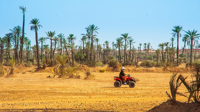 Quad Bike in Marrakech Palm Groves With Tea Break - Additional Tips
