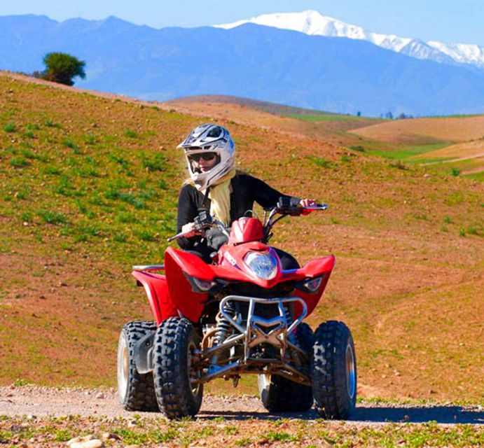 Quad Bike in the Desert & Dromedary Tour - Camel Ride and Quad Bike Experience