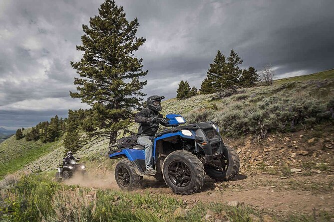 Quad Bike Safari in the Wilderness (ATV) - Last Words