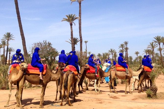 Quad Biking, Camel Ride, Hammam Combo Package  - Marrakech - Pricing Information