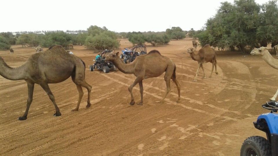 Quad Ride : Sand Dunes off Roads - Meet Locals in Berber Villages