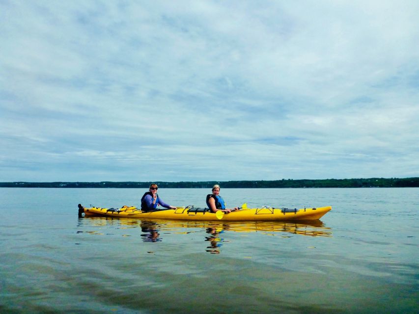 Quebec City: Sea-Kayaking Excursion - Review Summary