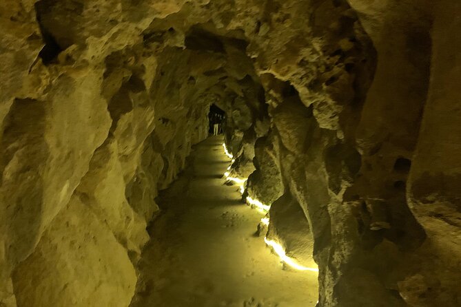 Quinta Da Regaleira and Sintra Visit Half Day Private Tour - Areas for Improvement and Suggestions