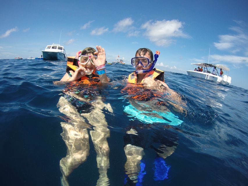 Quintana Roo: Whale Shark Swim, Private Boat Trip, and Lunch - Additional Information