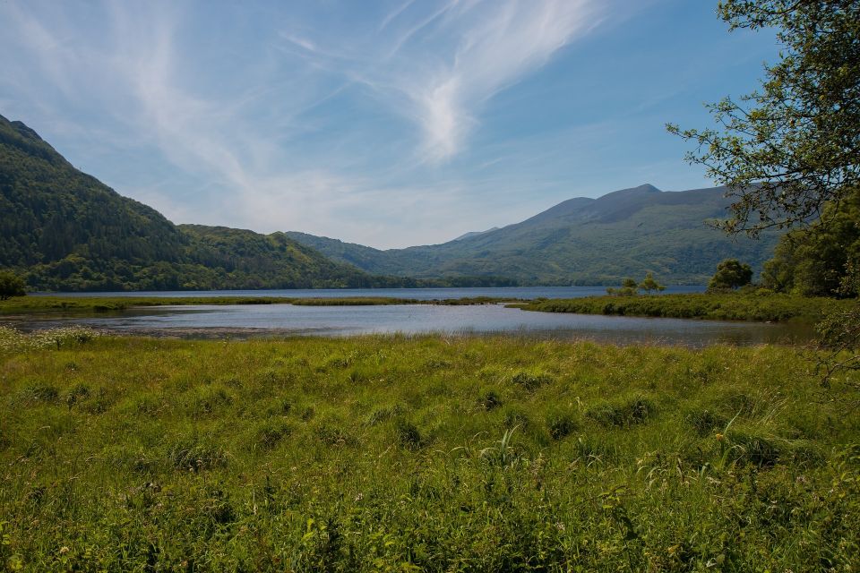 Rail Tour From Dublin: the Ring of Kerry - Customer Reviews