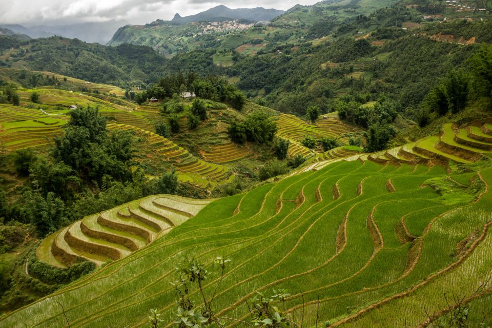 Red Dao Village Trek and Herbal Bath - Logistics