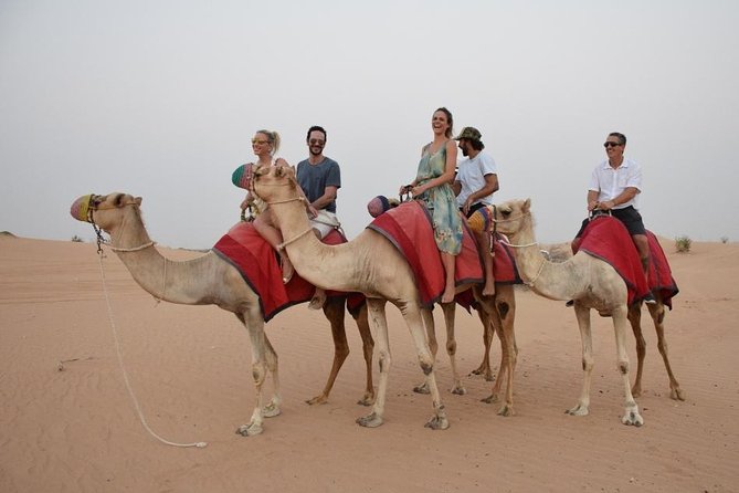 Red Dune Desert Safari,Camp Activities, BBQ Dinner, Live Show & Quad Bike Drive - Cancellation Policy