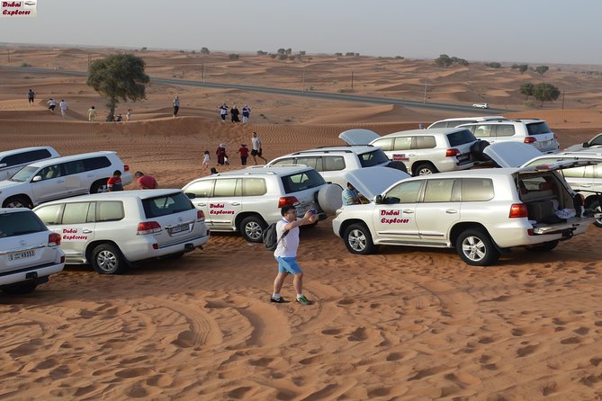 Red Dune Evening Desert Safari With BBQ Dinner and Camel Ride - Price and Booking Information