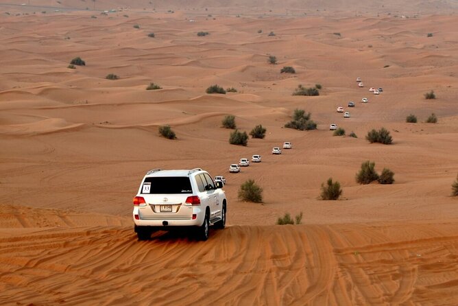 Red Dune Evening Desert Safari With Sandbashing and BBQ Dinner - Thrilling Sandboarding Experience