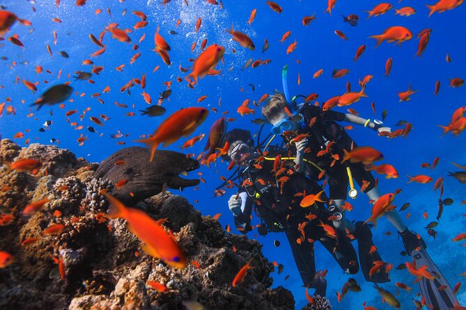 Red Sea Full-Day Introduction to Scuba Diving - Common questions