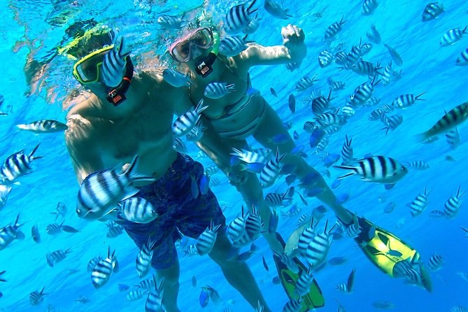 Reef Discovery Private Half Day Lagoon Tour - Flexible Scheduling Options