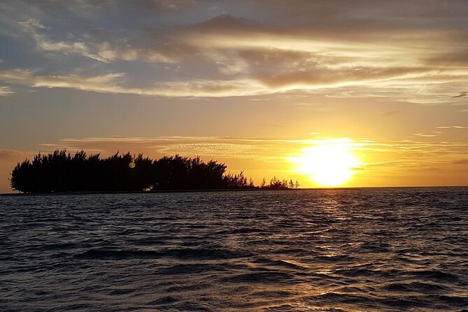Reef Discovery Private Sunset Cruise in Bora-Bora - Contact and Support Information