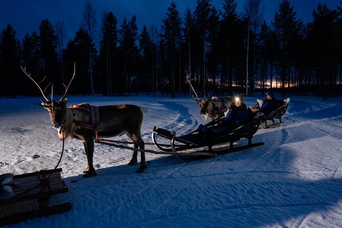 Reindeer Sleigh Ride Across the Night in Apukka Resort Rovaniemi - Directions for Your Adventure