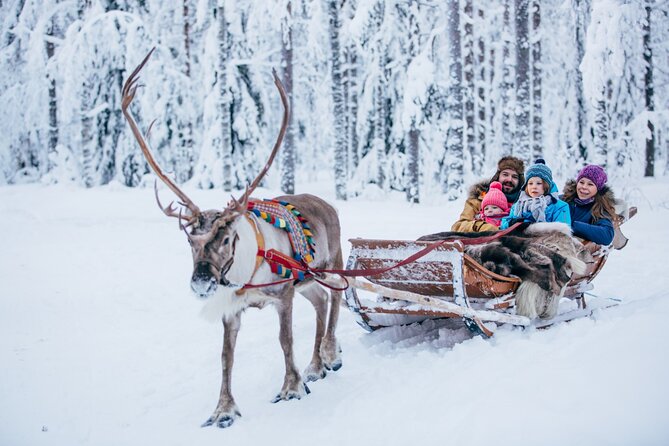 Reindeer Sleigh Ride and Farm Experience From Rovaniemi