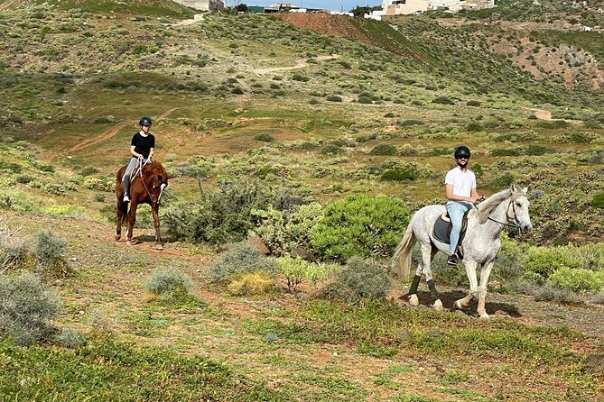 Relaxing Horse Riding Tour in Gran Canaria - General Tour Information