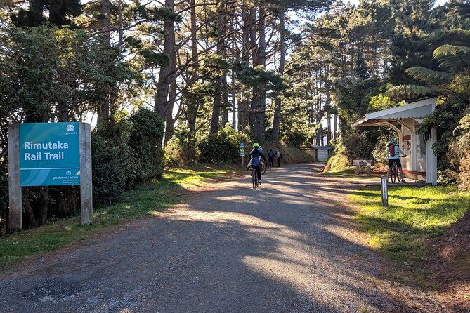 Remutaka Rail Trail Explorer - Ebike Cruise Ship Shore Excursion - Rave Reviews From Travelers