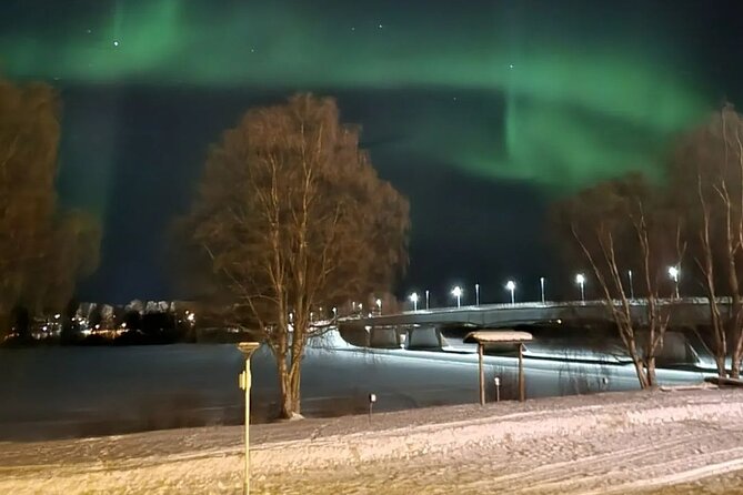 Reykjavik Northern Lights And Roundtrip Tour - Common questions