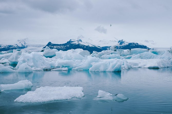 Reykjavik Private Jokulsarlon Glacier Lagoon Tour - Reviews and Support