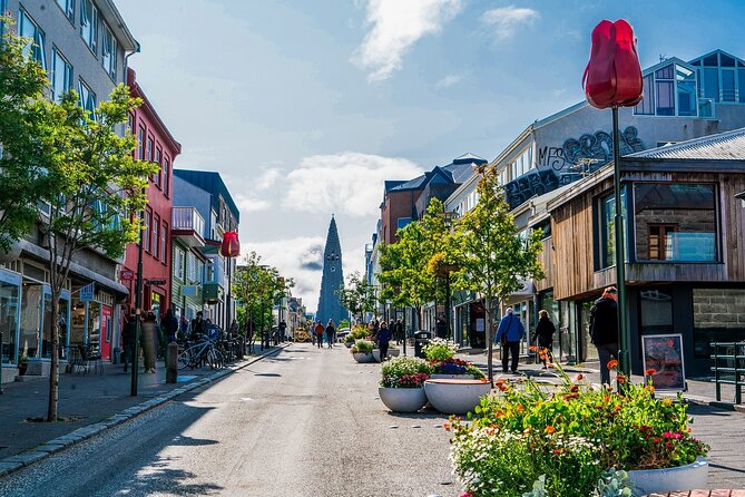 Reykjavik Private Walking Tour With A Professional Guide - Cultural Insights