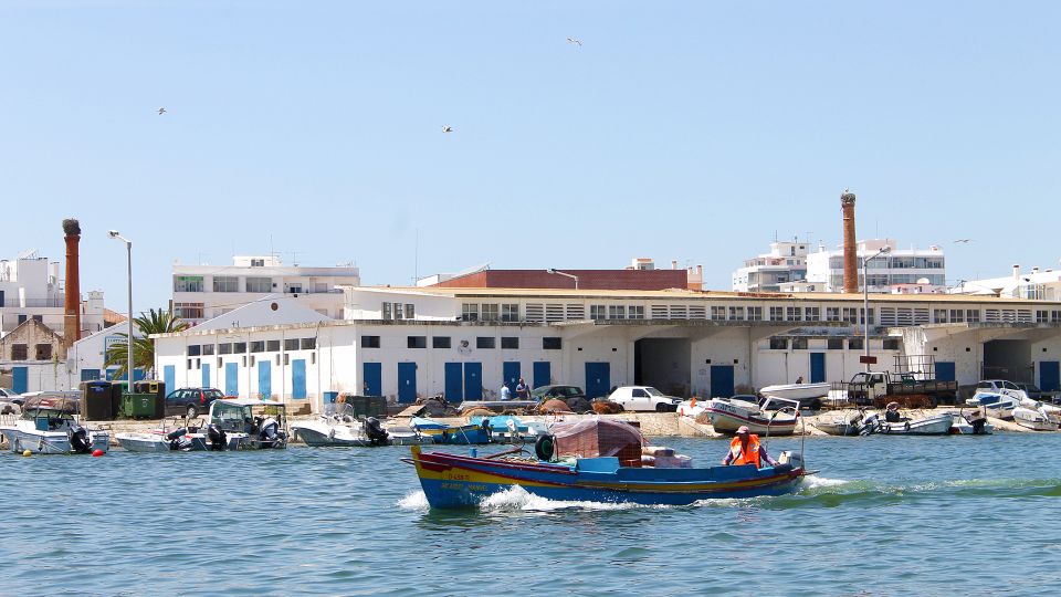 Ria Formosa: 2-Hour Fishermen Route Boat Tour - Inclusions and Safety Measures