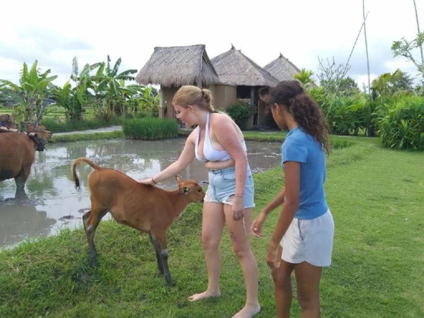 Rice Farming and Bali Village Life - Pickup Logistics and Instructions