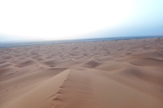 Ride the Camels for Sunset in Merzouga Dunes - Reviews and Recommendations