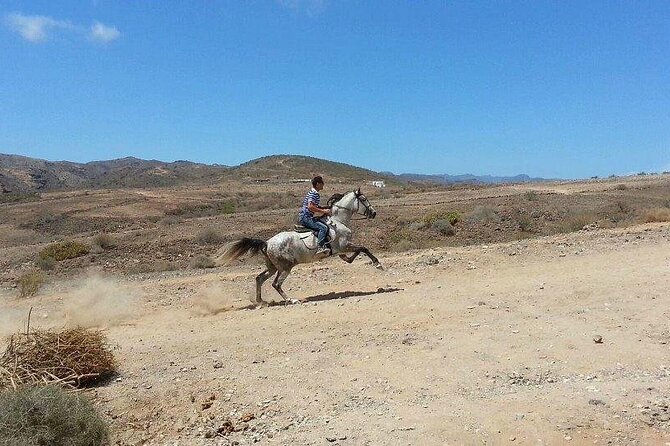 Riding 2 Hours Along the Maspalomas Route - Route Directions