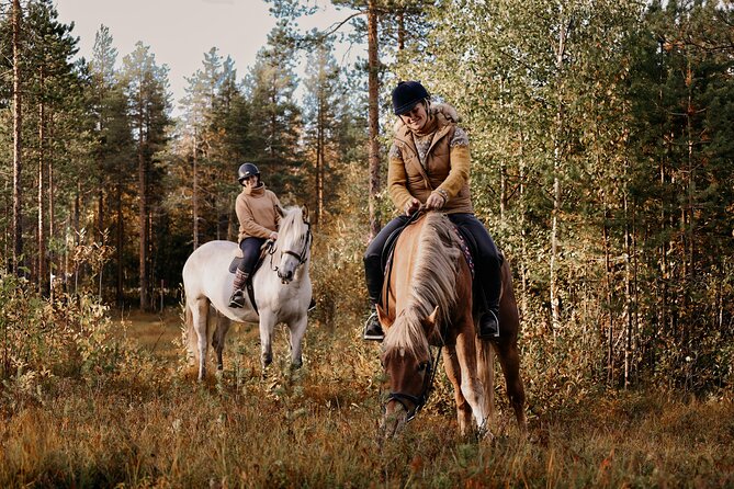 Riding Tour With Finnhorses at Santa Claus Village - Weather Considerations and Activity Requirements