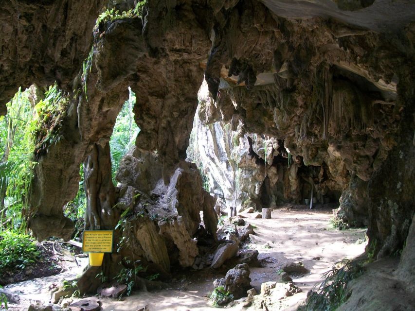 Rio Claro Jungle River: Private Tour From Medellín - Scenic Stops