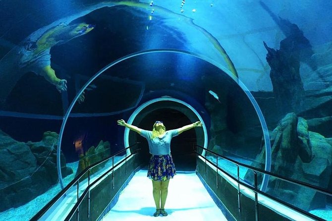 Rio De Janeiro Aquarium Ticket With Transport - Last Words