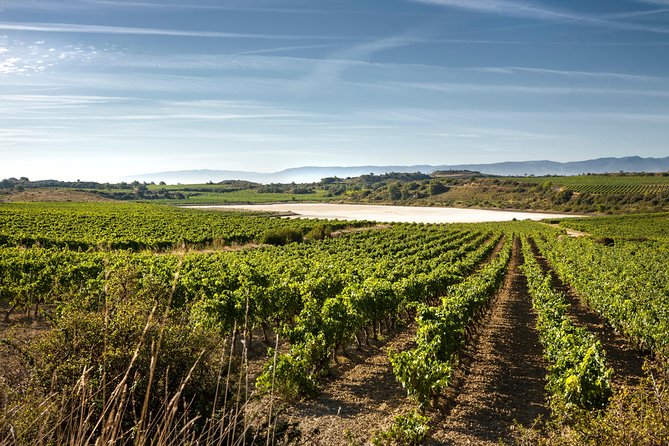 Rioja Wine Tour: 2 Wineries From Pamplona