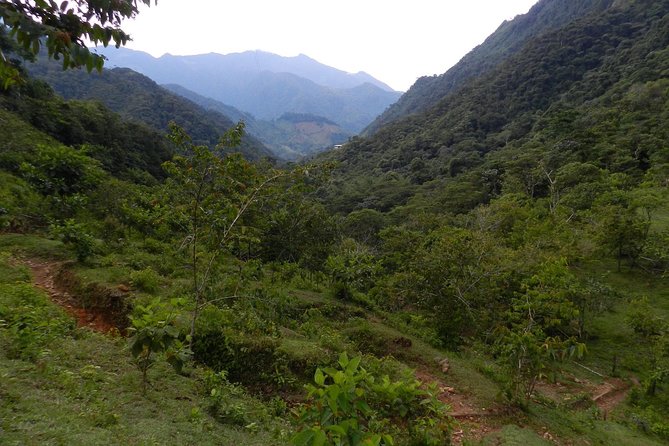 Rios De Cristal: Small-Group Tour From Medellin  - Medellín - Price Variation