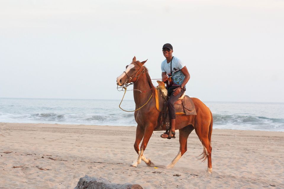 River, Ocean & Sunset Horse Riding Tour - Activity Inclusions