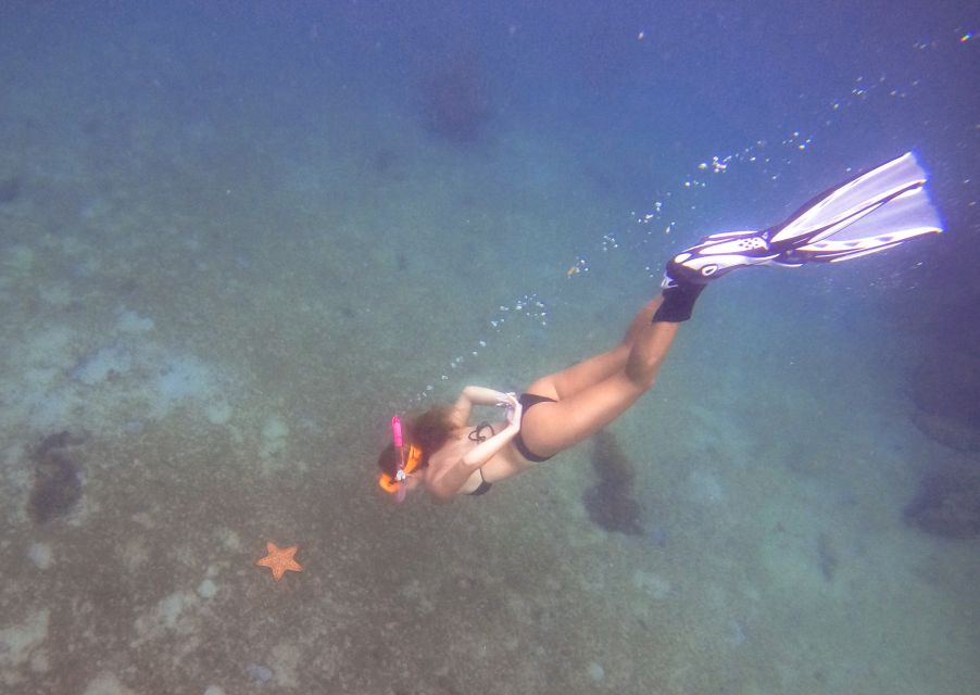 Riviera Beach, FL: Blue Heron Bridge Reef Snorkeling Tour - Directions