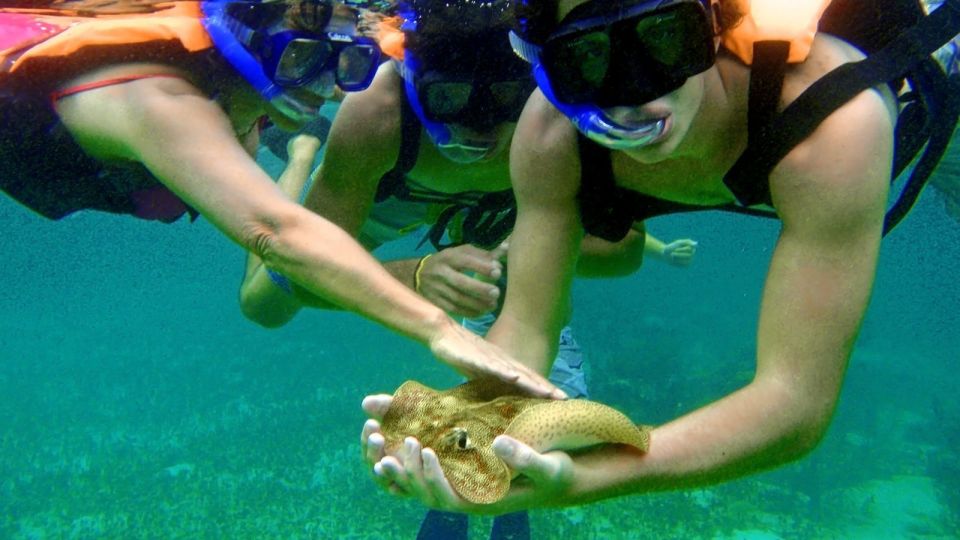 Riviera Maya: Two-Reef Snorkeling Experience - Location and Details Overview