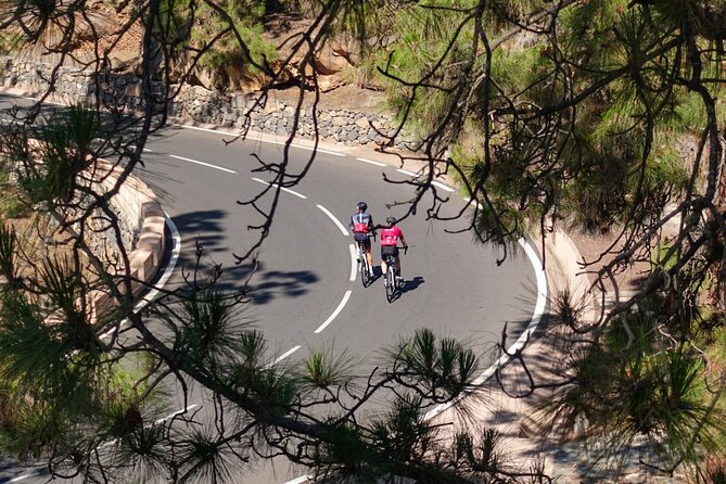 Road Cycling Tenerife - Vilaflor Route - Terms and Conditions for Participants