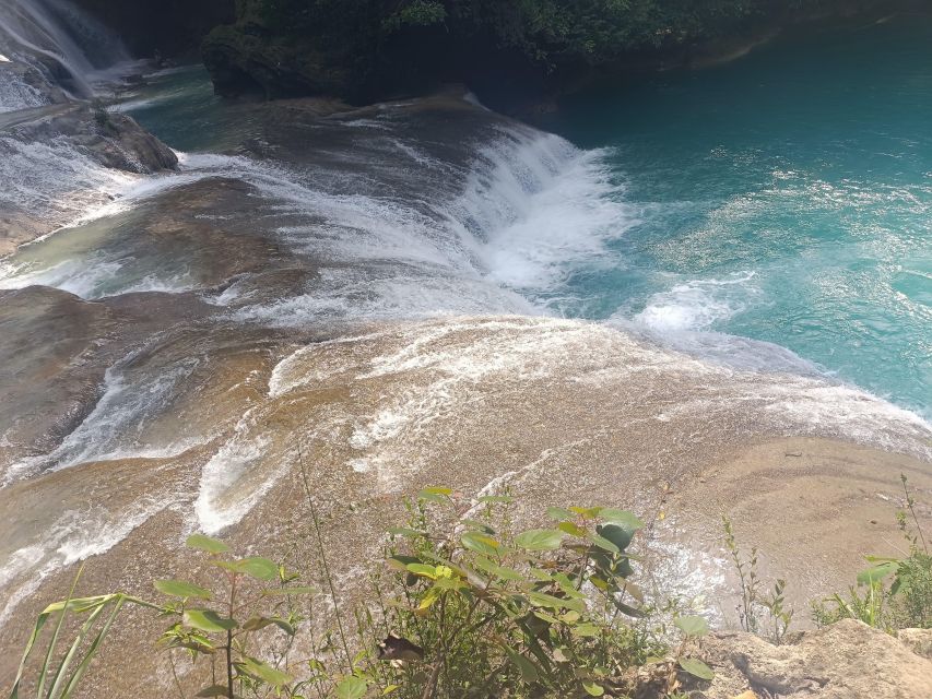 Roberto Barrios Waterfalls From Palenque - Booking Information