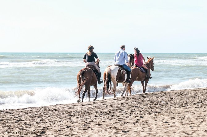 Rome Private Half-Day Beach Horseback Ride - Booking and Pricing Information