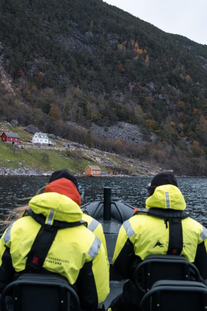 Rosendal Fjord Explore: RIB Adventure on the Hardangerfjord - Activity Description
