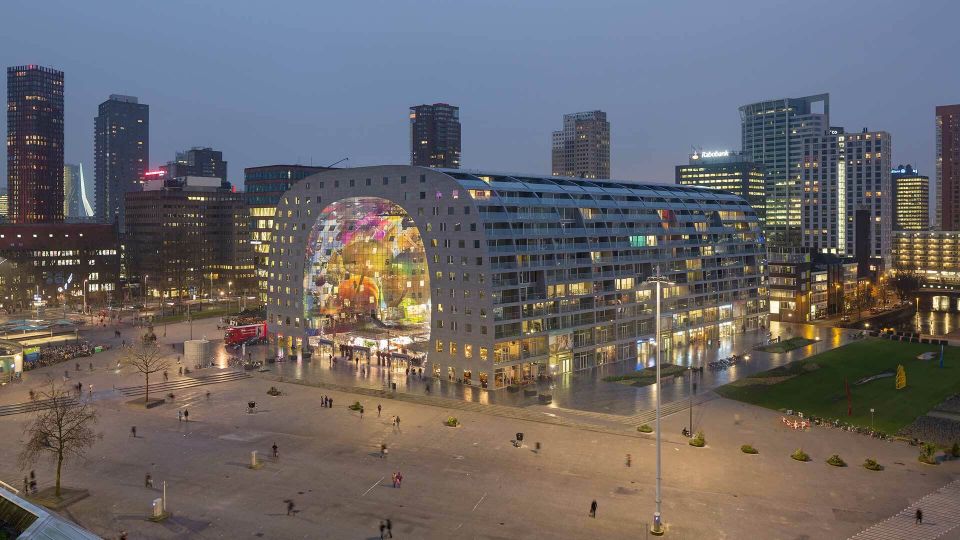 Rotterdam: Highlights & Art Walking Tour - Accessibility and Group Options