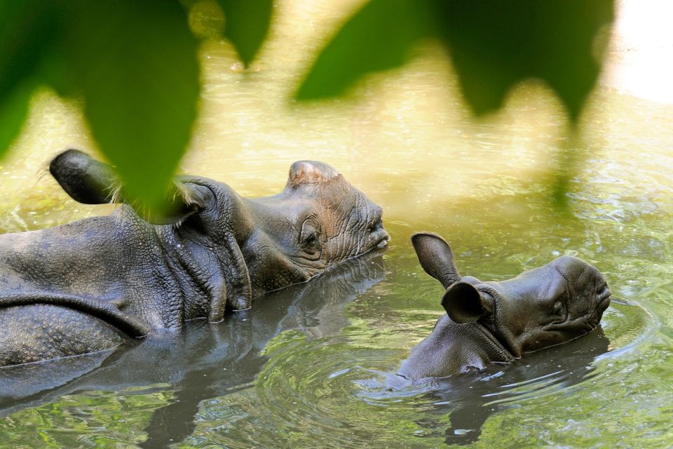 Rotterdam: Rotterdam Zoo Blijdorp Entry Ticket - Attraction Highlights