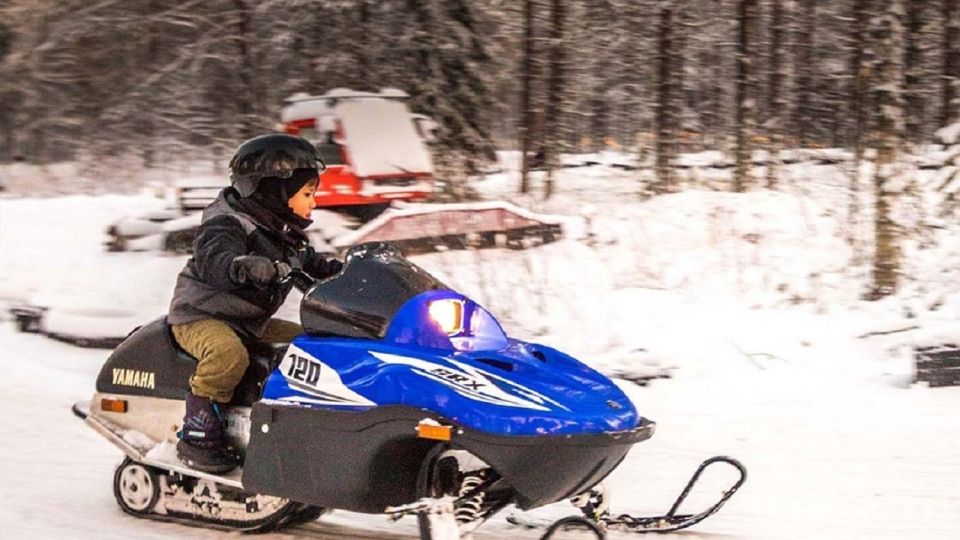 Rovaniemi: Arctic Circle Family-Friendly Snowmobile Tour - Booking and Pricing Info