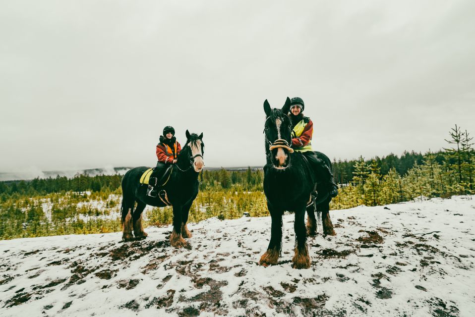 Rovaniemi: Arctic Horse Riding Experience - Customer Reviews