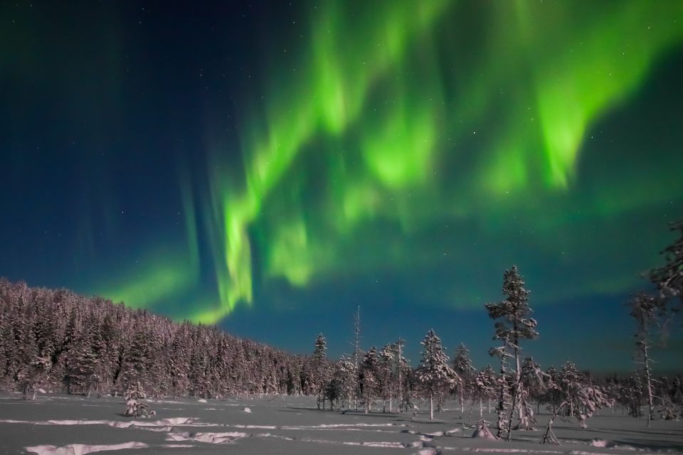 Rovaniemi: Aurora Borealis and Picnic - Common questions