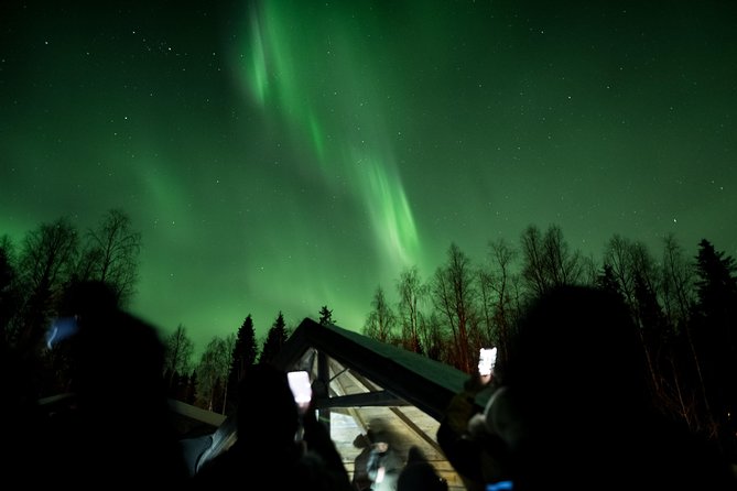 Rovaniemi Aurora Borealis Hunting Tour and Private Lake Visit (Mar ) - Booking and Cancellation Policies